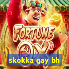 skokka gay bh